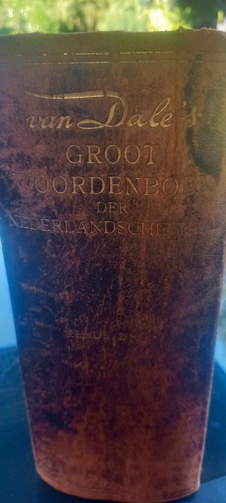 VAN DALE,S GROOT WOORDEN BOEK ANNO 1924 IN MOOIE VASTE KAFT, Antiek en Kunst, Antiek | Boeken en Bijbels, Ophalen of Verzenden