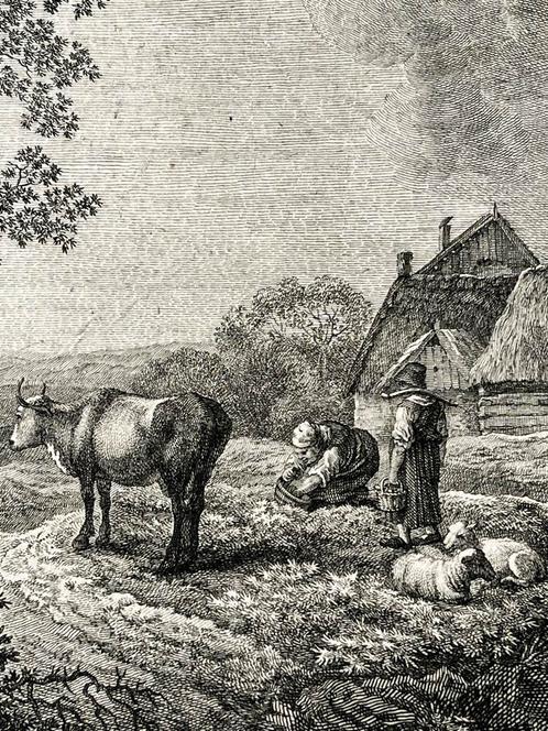 18e eeuwse gravure Balzer naar Wagner - Saksen, Antiek en Kunst, Kunst | Etsen en Gravures, Ophalen of Verzenden