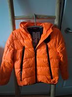 Super rebel skijas, Ophalen of Verzenden, Zo goed als nieuw, Overige maten, Jack