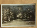 Ansichtkaart Laan in den Hout, Ophalen of Verzenden, 1960 tot 1980, Noord-Holland