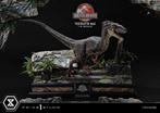 Prime 1 Studio Velociraptor Male Jurassic Park 3 JP3 Trex, Verzamelen, Beelden en Beeldjes, Ophalen, Zo goed als nieuw, Fantasy