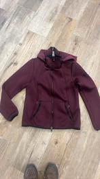 Vest Pikeur, Gebruikt, Dressuur, Ophalen of Verzenden, Dames