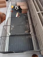 Grote konijnen kooi, Dieren en Toebehoren, Knaagdieren en Konijnen | Hokken en Kooien, Minder dan 60 cm, Kooi, 110 cm of meer