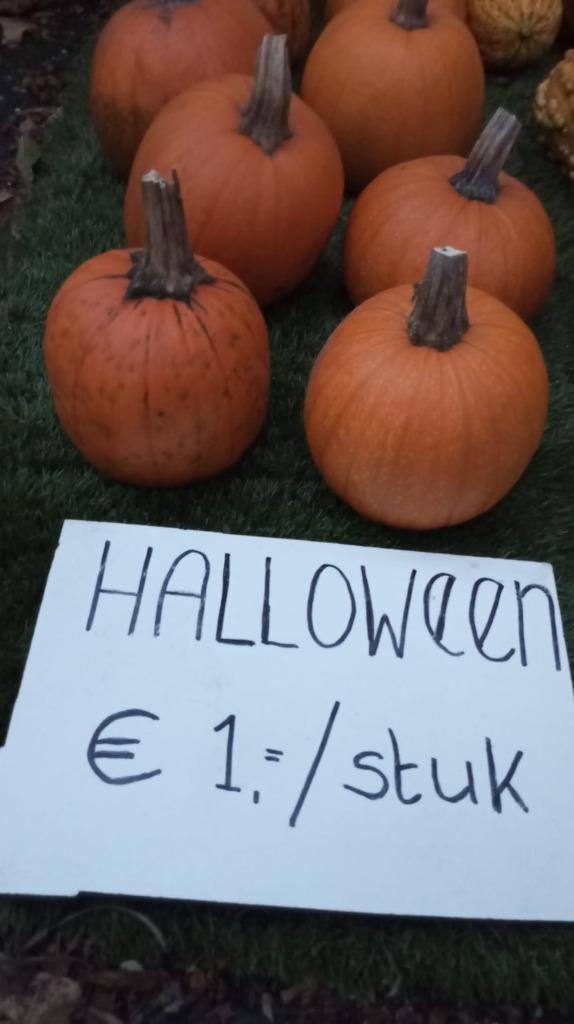Halloween pompoenen !!, Tuin en Terras, Tuinwanddecoratie, Nieuw, Ophalen