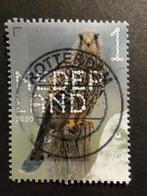 3817 torenvalk 2020 beleef de natuur, Postzegels en Munten, Ophalen of Verzenden