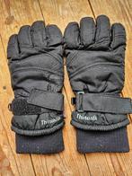 zwarte ski handschoenen, etirel, maat 3, Verzenden, Zo goed als nieuw, Maat 36 (S), Handschoenen