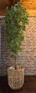 Grote kunstplant in mooie rieten bloempot, Ophalen, In pot, 200 cm of meer