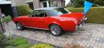 Ford Mustang V8. 302, Auto's, Oldtimers, Automaat, 5000 cc, Zwart, Particulier