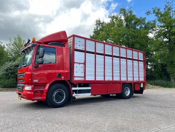 DAF CF 75 Livestock veewagen 1/2 stock (bj 2008) beschikbaar voor biedingen