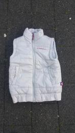 Grijs/zilver kleurige bodywarmer maat 146/152, Ophalen of Verzenden, Zo goed als nieuw, Meisje, Jas