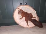 Opgezette eekhoorn taxidermie, Verzamelen, Ophalen, Nieuw, Wild dier, Opgezet dier