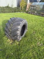 Shovelband voor geitenweide, Dieren en Toebehoren, Vrouwelijk, Geit