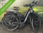 2x Flyer Gotour Electrische fietsen – Zwitserse topkwaliteit, Overige merken, Ophalen of Verzenden, Zo goed als nieuw, 50 km per accu of meer