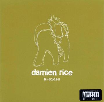 Damien Rice – B-Sides CD / FOLK beschikbaar voor biedingen
