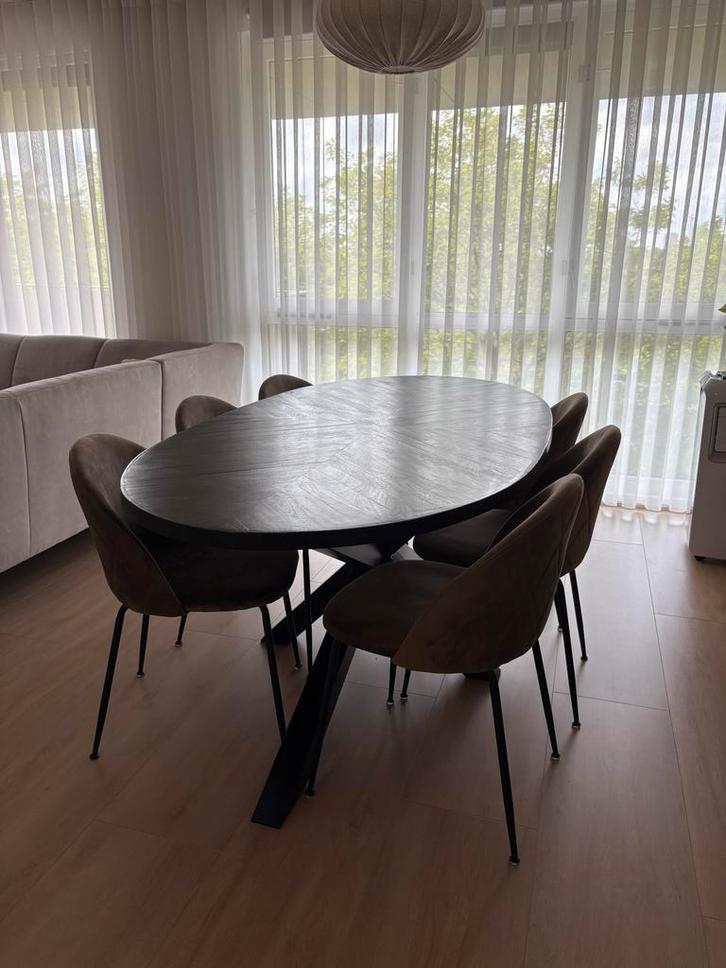 Eettafel ovaal visgraat met 6 Stoelen, Huis en Inrichting, Tafels | Eettafels, Zo goed als nieuw, 100 tot 150 cm, 150 tot 200 cm
