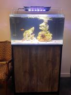 Blue marine 160, Dieren en Toebehoren, Vissen | Aquaria en Toebehoren, Ophalen of Verzenden, Zo goed als nieuw, Gevuld zeewateraquarium