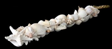 Schelpen toef van witte schelpen 55 cm lang beschikbaar voor biedingen