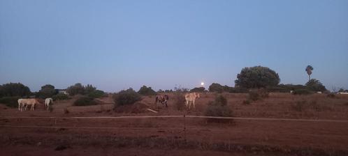 Plaats voor caravan, camper, chalet, mobile home in Algarve, Diversen, Overige Diversen, Nieuw, Ophalen