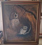 Bosuil, Ophalen of Verzenden