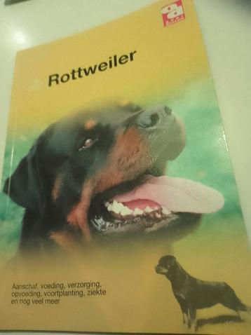 De Rottweiler beschikbaar voor biedingen