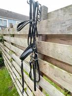 Hoofdstel, Dieren en Toebehoren, Ophalen of Verzenden