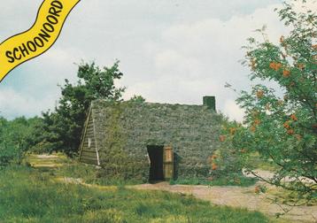 SCHOONOORD Holwoning Museum met Tekstwimpel  beschikbaar voor biedingen