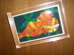zeefdrukje  1997   Kate Wilkinson  strand zomer, Antiek en Kunst, Ophalen of Verzenden