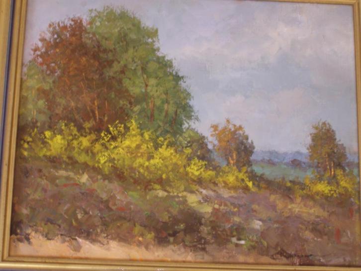 schilderijen van Meppeler schilders, Antiek en Kunst, Kunst | Schilderijen | Klassiek, Ophalen