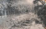Angerlo, bijzondere ansichtkaart Laan bij Huize Bingerden, Verzamelen, Verzenden, Voor 1920, Ongelopen, Gelderland