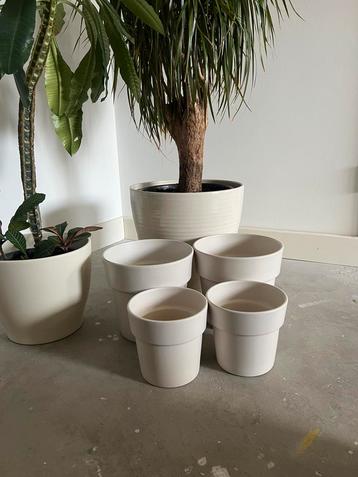 Crème stenen bloempotten set 4 stuks (2x Medium en 2x Large) beschikbaar voor biedingen