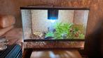 Terrarium, Dieren en Toebehoren, Ophalen, Zo goed als nieuw