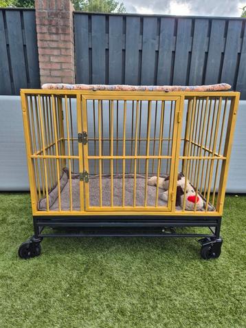 Honden show trolley  beschikbaar voor biedingen