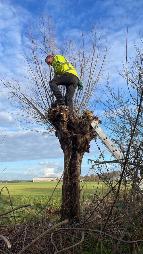 Hoveniers / tuinman, Diensten en Vakmensen, Tuinmannen en Stratenmakers, Bestrating, Hekwerk of Schuttingen, Tuinonderhoud of Snoeiwerk