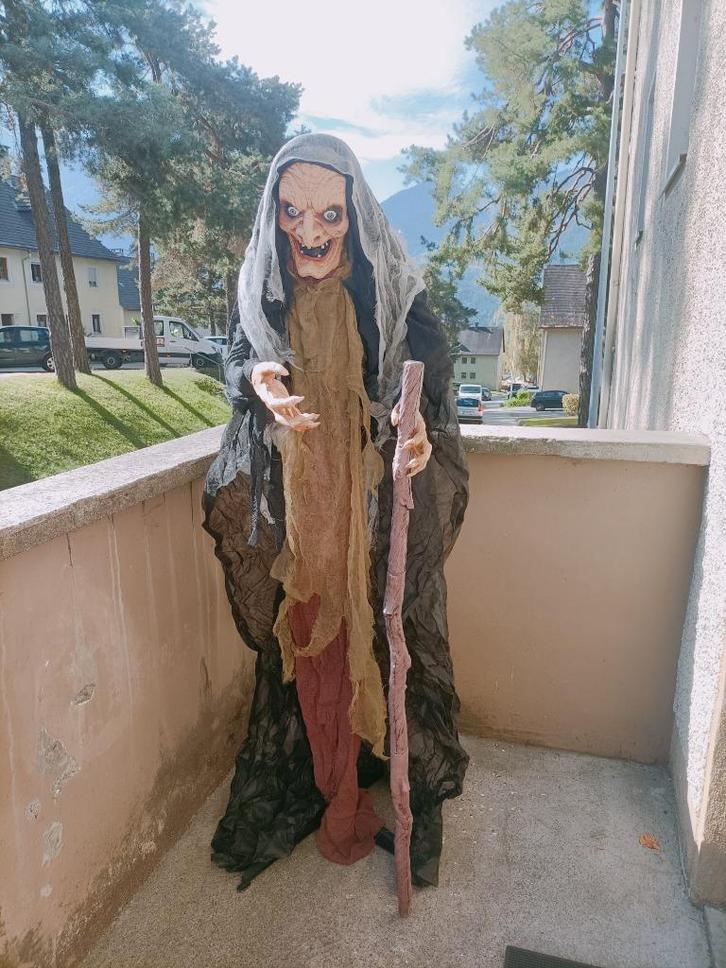 Te huur sprekende heks voor feestjes, Hobby en Vrije tijd, Feestartikelen | Verhuur, Gebruikt, Halloween of Griezel, Ophalen