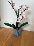 Lego Botanicals collection orchidee - 10311, Kinderen en Baby's, Speelgoed | Duplo en Lego, Ophalen of Verzenden, Gebruikt, Complete set