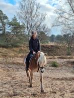 Bijrijd/verzorgpaard gezocht️, Ophalen of Verzenden