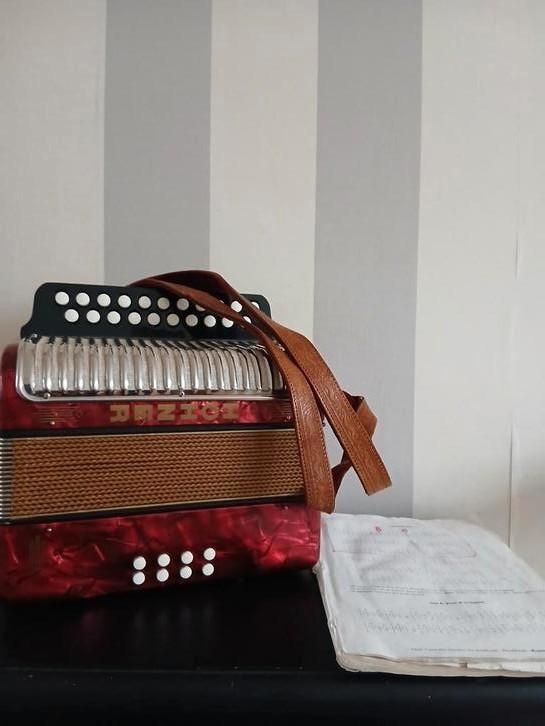 Trekharmonika Hohner Erica, Muziek en Instrumenten, Accordeons, Zo goed als nieuw, Overige formaten, Overige merken, Ophalen of Verzenden