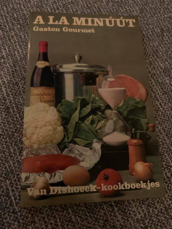 A la Minuut - Gaston Gourmet Kookboek, Boeken, Kookboeken, Gelezen, Hoofdgerechten, Frankrijk, Ophalen of Verzenden