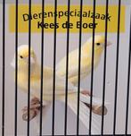 Koppel gele kanaries, Dieren en Toebehoren, Vogels | Kanaries, Meerdere dieren, Kleurkanarie