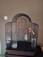 Vogelkooi met accessoires, Ophalen, Gebruikt, Metaal, Vogelkooi