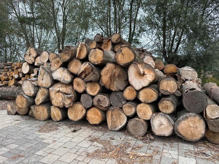 Eiken Stammen Brandhout, Tuin en Terras, Haardhout, Stammen, Minder dan 3 m³, Ophalen of Verzenden
