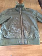 zomer jas PME Pall Mall maat 2XL groen, Ophalen of Verzenden, Zo goed als nieuw, Maat 46/48 (XL) of groter, Groen
