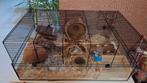 Hamster / Klein knaagdier kooi, Ophalen, Kooi, 60 tot 90 cm, Zo goed als nieuw