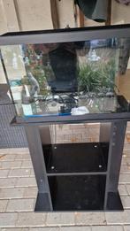 Aquarium met kast 60x40x30, Dieren en Toebehoren, Ophalen, Zo goed als nieuw, Leeg aquarium