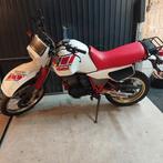 Yamaha XT 600 Tenere 1986 - Bekend bij RDW, Motoren, Motoren | Oldtimers, 1 cilinder, Enduro, Meer dan 35 kW