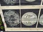 Vintage poster Celdeling, Antiek en Kunst, Antiek | Schoolplaten, Ophalen, Natuur en Biologie