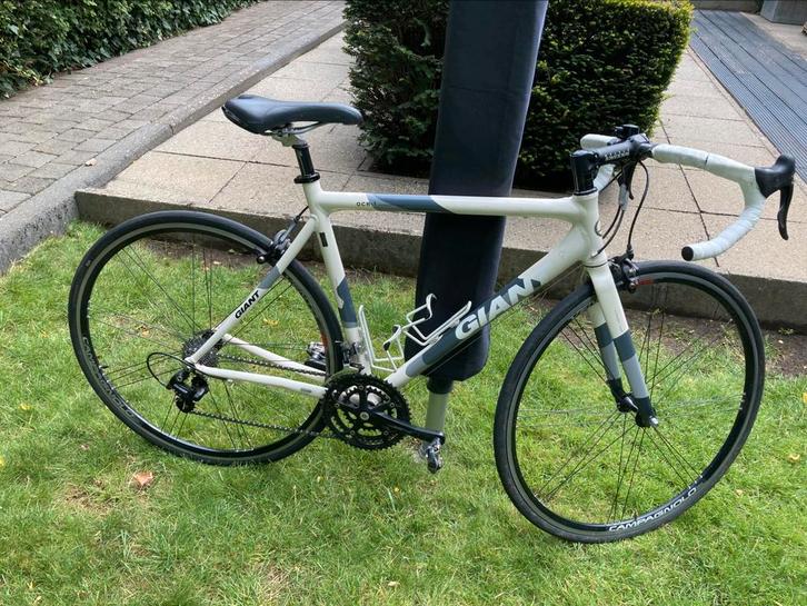 Racefiets GIANT OCR Campagnolo maat M, Fietsen en Brommers, Fietsen | Racefietsen, Zo goed als nieuw, Giant, Meer dan 20 versnellingen