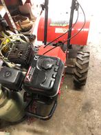 Tuinfrees Kibani 6,5 Hp, Ophalen of Verzenden, Zo goed als nieuw, Overige soorten