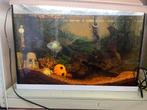 Aquarium 60 liter met alle benodigdheden te koop, Ophalen, Gebruikt