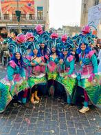 Carnavalspakken thema Water/Vis - 6 stuks, Kleding | Dames, Carnavalskleding en Feestkleding, Carnaval, Kleding, Gedragen, Ophalen